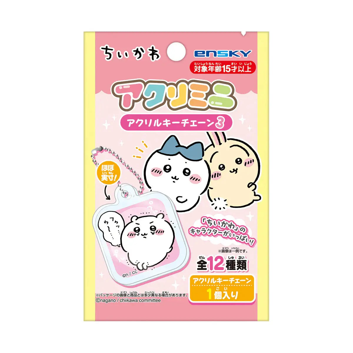 Chiikawa Acrylic Keychain Collection Blind Bag Series 3 Chiikawa